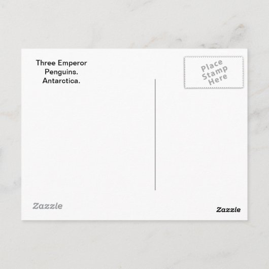 Penguins Three Briefkaart (Achterkant)