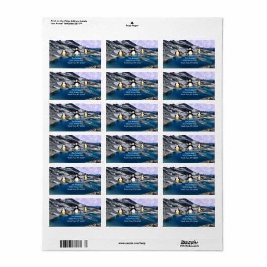 Penguins Vist het Etiket van het Adres (Full Sheet)