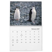 Penguins Wall Calendar Kalender (Feb 2027)