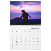 Penguins Wall Calendar Kalender (Jan 2027)