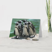Penguins Wenskaart Feestdagen Kaart (Voorkant)