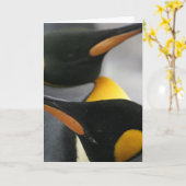 Penguins Wenskaart Kaart (Gele Bloem)
