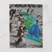 Penguins wildlife collage briefkaart (Voorkant)
