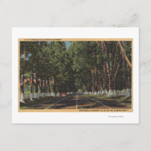 Peninsula Highway US 101 El Camino Real Uitzicht Briefkaart
