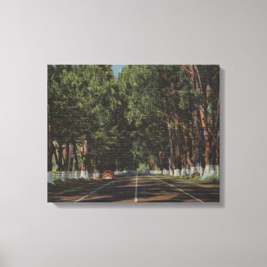 Peninsula Highway US 101 El Camino Real Uitzicht Canvas Afdruk (Voorkant)