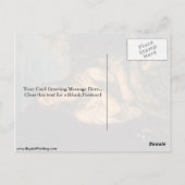 Penitent St. Mary Magdalene door Titiaan Briefkaart (Achterkant)