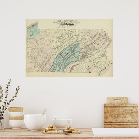 Penn flora poster (Keuken)