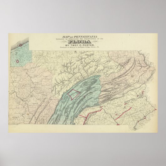 Penn flora poster (Voorkant)