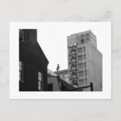 Penn Walking, Philadelphia. Briefkaart (Voorkant)