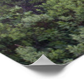 Pennant Brook In De Mist Fine Art Print (Hoek)
