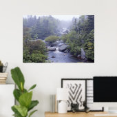 Pennant Brook In De Mist Fine Art Print (Thuiskantoor)