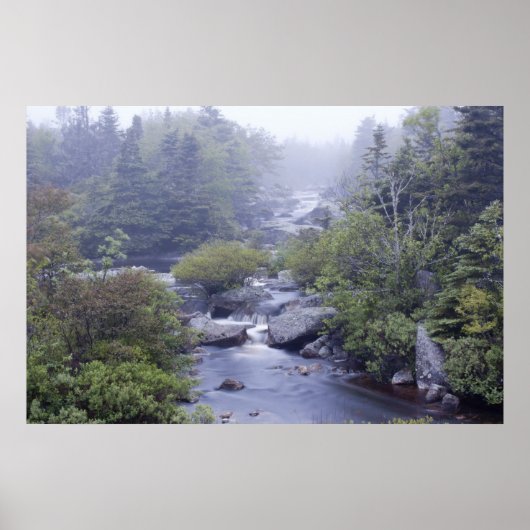 Pennant Brook In De Mist Fine Art Print (Voorkant)