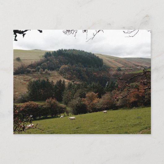 Pennant Valley Wales Briefkaart (Voorkant)