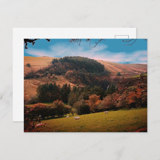 Pennant Valley Wales Briefkaart (Voorkant / Achterkant)