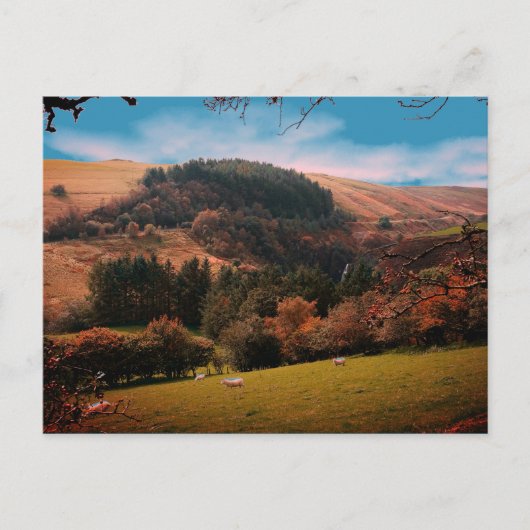 Pennant Valley Wales Briefkaart (Voorkant)