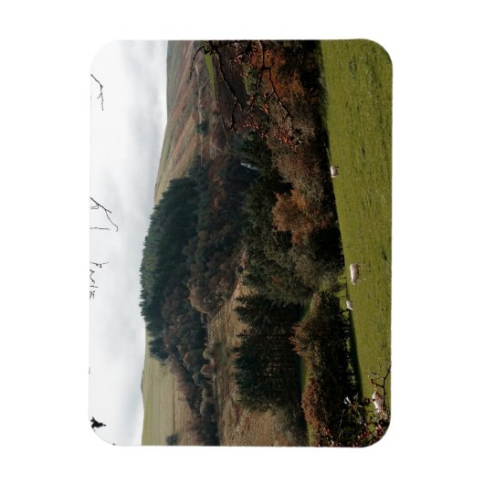 Pennant Valley Wales Magneet (Verticaal)