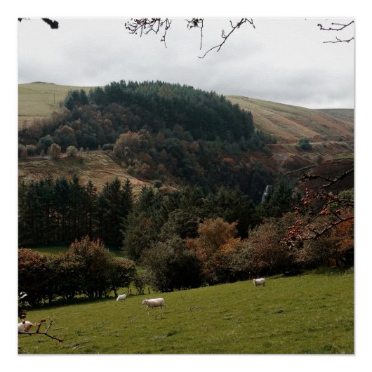 Pennant Valley Wales Poster (Voorkant)