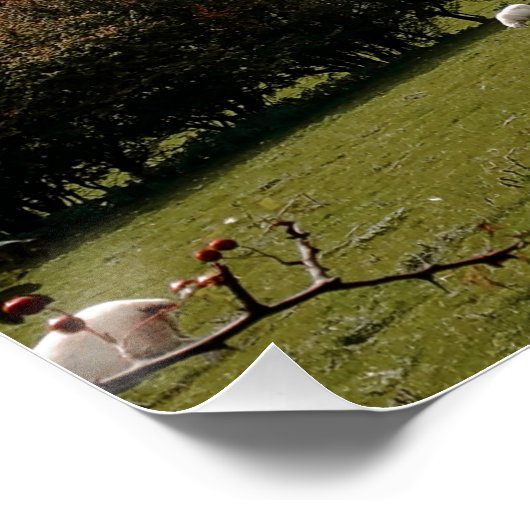 Pennant Valley Wales Poster (Hoek)