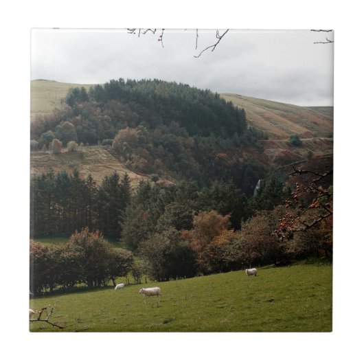 Pennant Valley Wales Tegeltje (Voorkant)