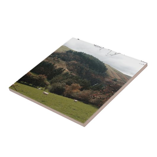 Pennant Valley Wales Tegeltje (Zijkant)