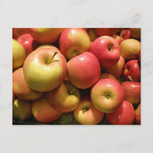 Pennsylvania Apples Postcard Briefkaart