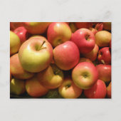 Pennsylvania Apples Postcard Briefkaart (Voorkant)