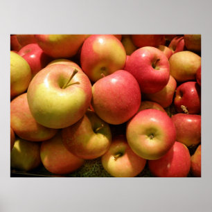 Pennsylvania Apples Poster, 30,67 x 23 inch Poster