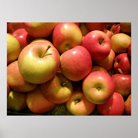 Pennsylvania Apples Poster, 30,67 x 23 inch Poster (Voorkant)