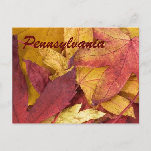 Pennsylvania Autumn Leaves Briefkaart (Voorkant)