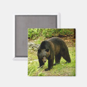 Pennsylvania Black Beer Magneet (Voorkant / Achterkant)