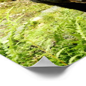 Pennsylvania Black Beer Poster (Hoek)