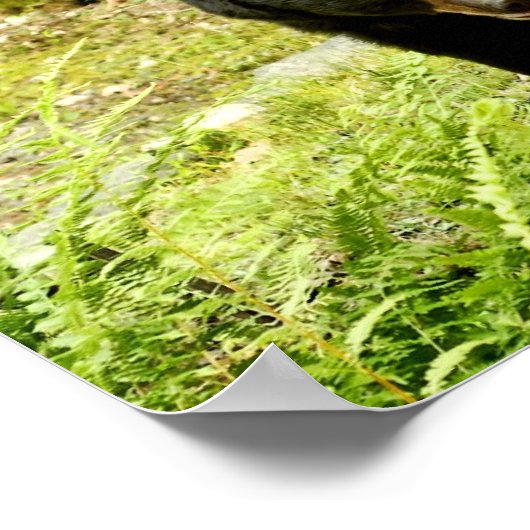 Pennsylvania Black Beer Poster (Hoek)