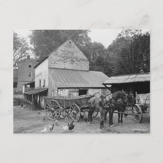 Pennsylvania Boerderij, 1906 Briefkaart (Voorkant)