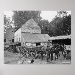 Pennsylvania Boerderij, 1906.  foto Poster