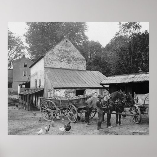 Pennsylvania-boerderij, 1906. Oude foto Poster (Voorkant)