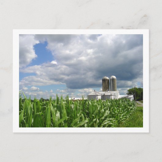 Pennsylvania Cornfield Briefkaart (Voorkant)