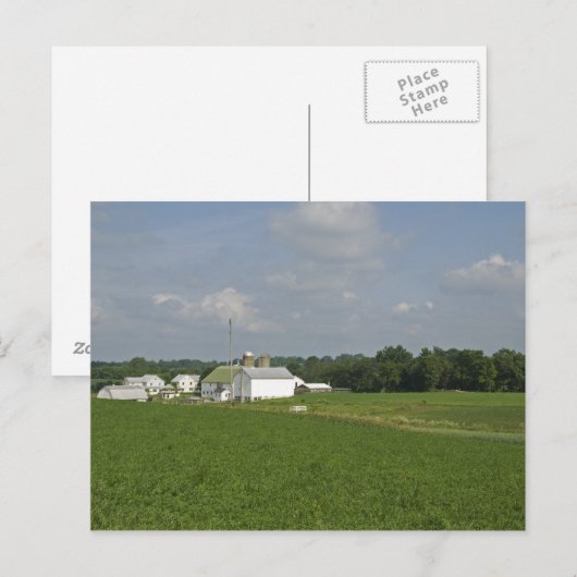 Pennsylvania Countryside Briefkaart (Voorkant / Achterkant)