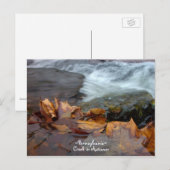 Pennsylvania creek Briefkaart (Voorkant / Achterkant)