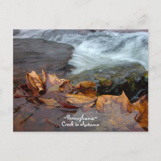 Pennsylvania creek Briefkaart (Voorkant)
