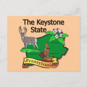Pennsylvania De Keystone State Bird Deer Flower Briefkaart