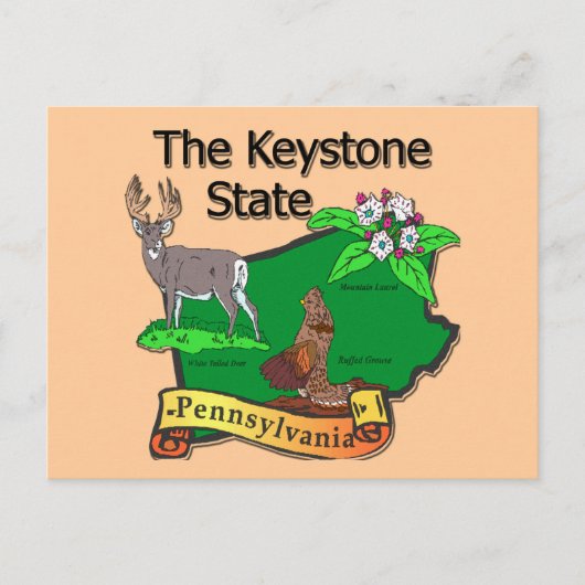 Pennsylvania De Keystone State Bird Deer Flower Briefkaart (Voorkant)
