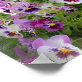 Pennsylvania Flowers Print (Hoek)