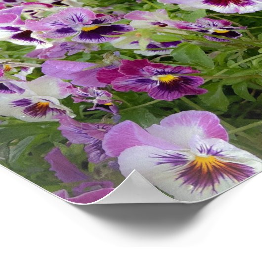 Pennsylvania Flowers Print (Hoek)