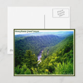 Pennsylvania Grand Canyon in de zomer Briefkaart (Voorkant / Achterkant)