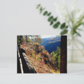 Pennsylvania Grand Canyon-Leonard Harris St Park Briefkaart (Staand voorkant)