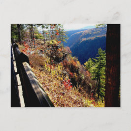 Pennsylvania Grand Canyon-Leonard Harris St Park Briefkaart