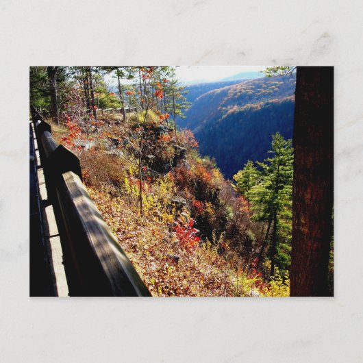 Pennsylvania Grand Canyon-Leonard Harris St Park Briefkaart (Voorkant)