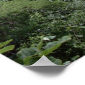 Pennsylvania Grand Canyon Poster (Hoek)