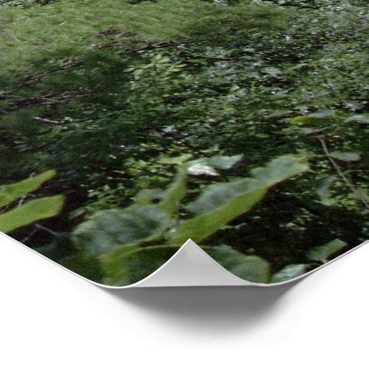 Pennsylvania Grand Canyon Poster (Hoek)