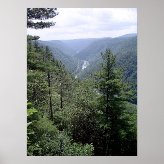 Pennsylvania Grand Canyon Poster (Voorkant)